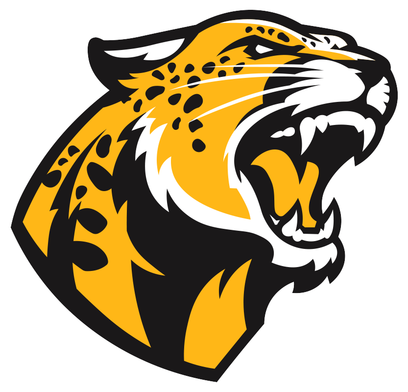 DC Leopards Basketball- Home